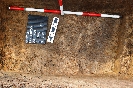 Neředín "Mýlina". V příkopu římského tábora z Markomanských válek zkoumaném pracovníky ACO nalezeny pozůstatky drnů sesutých z valu.